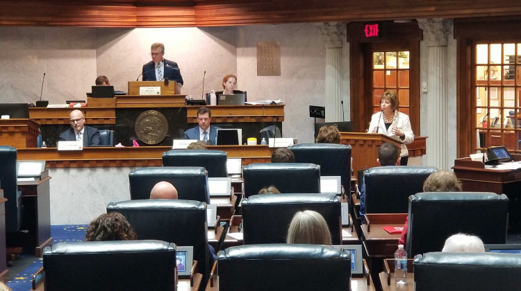Sen. Linda Rogers (R-Granger) presented House Bill 1134, as well as massive changes to the legislation, at the Senate education Wednesday. - (Jeanie Lindsay/IPB News)