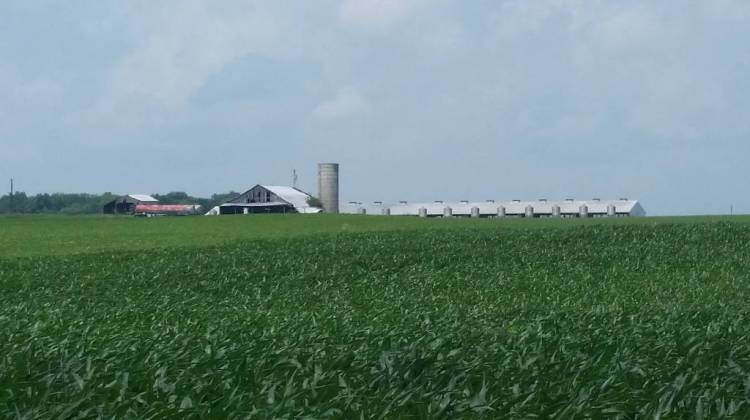 Some of the residents who will get a property tax break live near this CAFO in Hope, outside Columbus. - Annie Ropeik/IPB File Photo