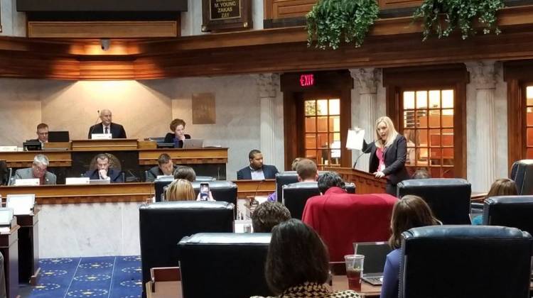 Sen. Erin Houchin addresses the Senate Education and Career Development committee about her bill. - Jeanie Lindsay/IPB News