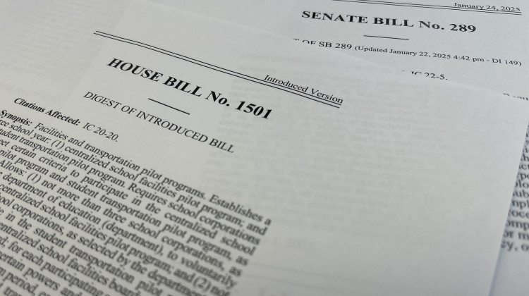 This year, House Republicans appear to be leading efforts to revise the state’s education laws, following the Senate’s 2024 focus on truancy. - Eric Weddle / WFYI