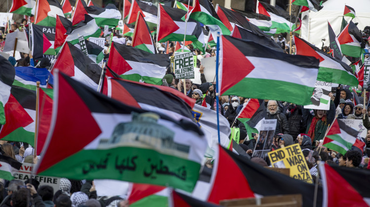 At the March on Washington for Gaza, thousands of demonstrators rallied in support of a cease-fire in Gaza and an end for U.S. aid for Israel. - Tyrone Turner / WAMU