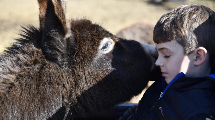 Mooresville farm animals offer comfort to women and children dealing with trauma