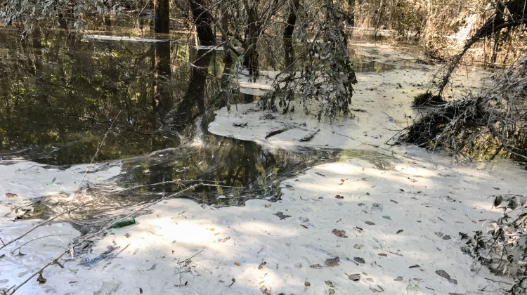 Coal ash floats on the surface of the Neuse River in North Carolina. The ash spilled from Duke Energy's former H.F. Lee coal plant in 2016. Groups from Indiana and Illinois want to prevent similar disasters from happening at legacy coal ash ponds along Lake Michigan. - Pete Harrison And Matt Starr
/
Waterkeeper Alliance And Upper Neuse Riverkeeper