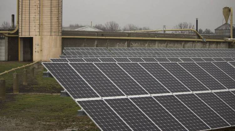 A solar array at Wible Lumber in northeast Indiana. - Nick Janzen/IPB