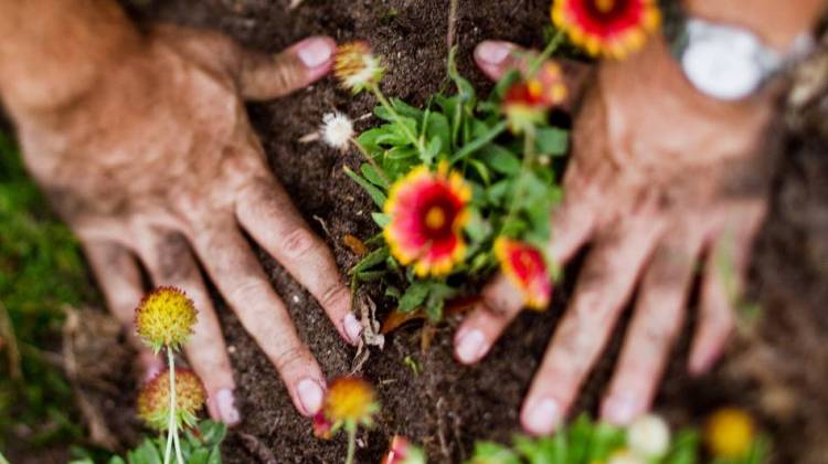 For A Longer Life, You Might Try Mowing The Lawn