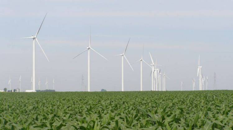 A wind farm in Benton County. - File photo/IPBS