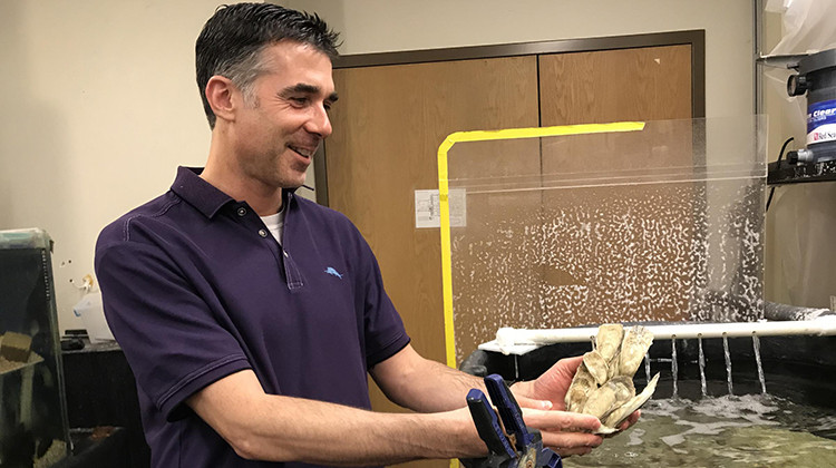 Jonathan Wilker proudly holds his oysters. - WBAA News/Ben Thorp