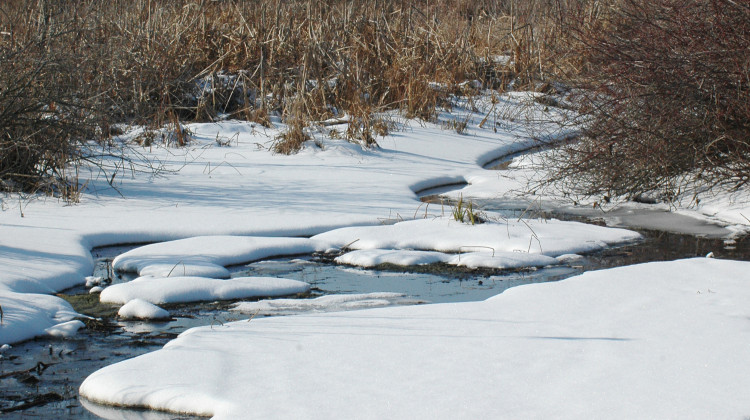 The Sauga Swamp in Noble County. - Courtesy ACRES Land Trust