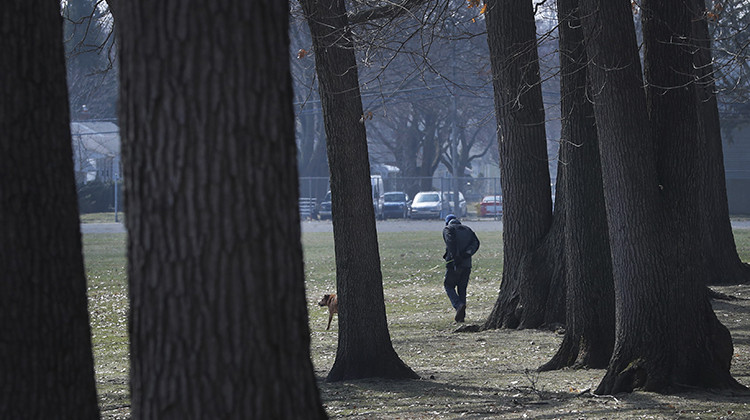 A dog is walked, Wednesday, March 25, 2020, in Oak Park, Mich. Health care and government officials have been urging people to get outside and shake off the COVID-19 and coronavirus blues for both our mental and physical health. - AP Photo/Carlos Osorio