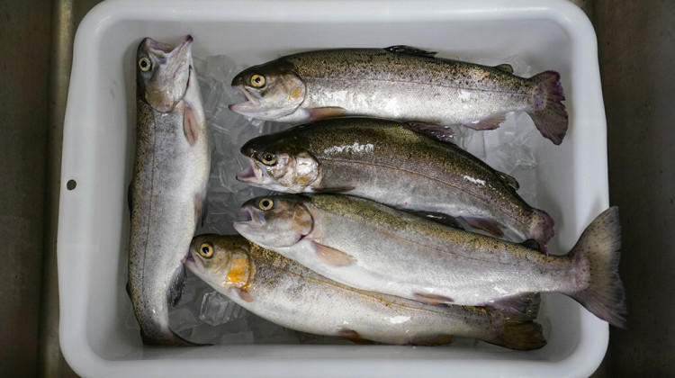 Despite potential, Midwestern farms struggle to market fish