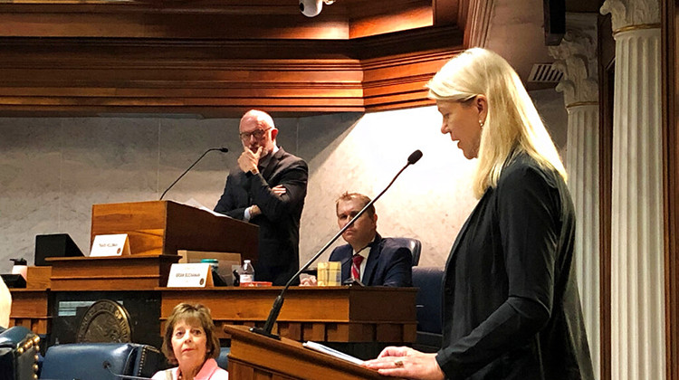 Indiana state Rep. Sharon Negele, R-Attica, right, speaks during an Indiana Senate Tax and Fiscal Policy Committee meeting at the Statehouse in Indianapolis, on Wednesday, Aug. 3, 2022. Negele spoke in favor of a proposal to give each taxpayer a $225 rebate from the state's surging budget surplus, but the Senate committee on Wednesday advanced a differing plan without the refund payments. - AP Photo/Tom Davies