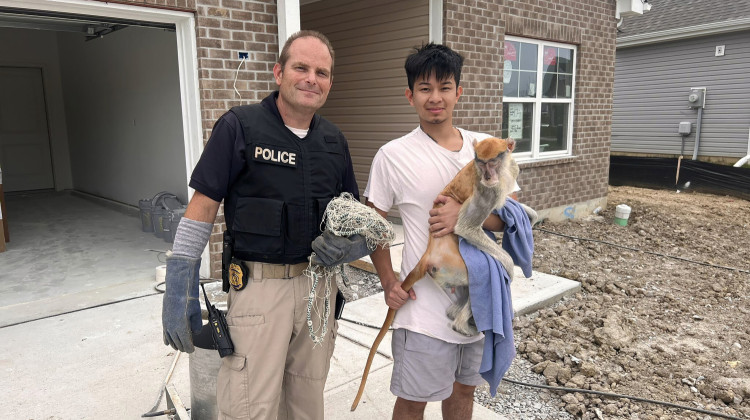 This photo provided by the Indianapolis Metropolitan Police Department shows IMPD officer Lt. William Carter, left, with an unidentified person holding a monkey, which is named Momo, in Indianapolis, Thursday, Oct. 5, 2023. The monkey spurred an hours-long search on Indianapolis' east side after he escaped Wednesday, Oct. 4, from his owner's property.  - Indianapolis Metropolitan Police Department via AP