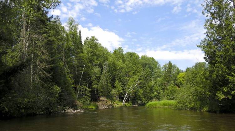 From Social Welfare Groups, A River Of Political Influence