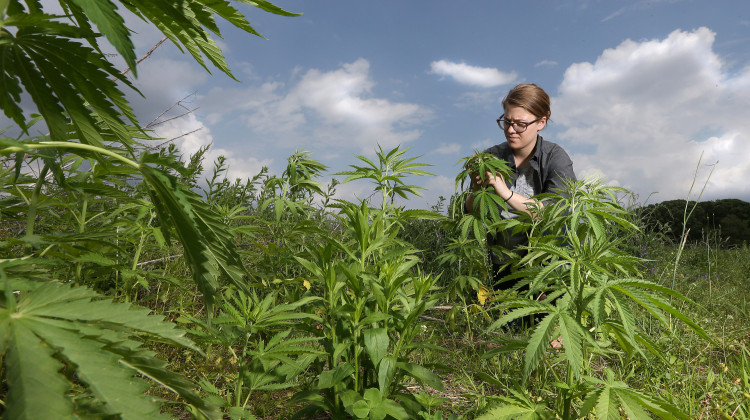 Marguerite Bolt is Purdue Extension’s new hemp specialist. She says her job will include educating interested parties.  - Provided by Purdue University