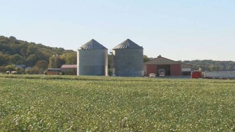 The value of Hoosier farmland has fallen around 8.5 percent this year. - Sylvia Bao/IPBS