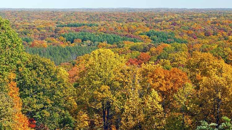 Brown County State Park is already getting calls inquiring about when peak colors, like these, can be seen in the forest. - stock photo