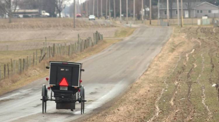 Indiana Counties Look For Solutions To Horseshoe Damage On Roads