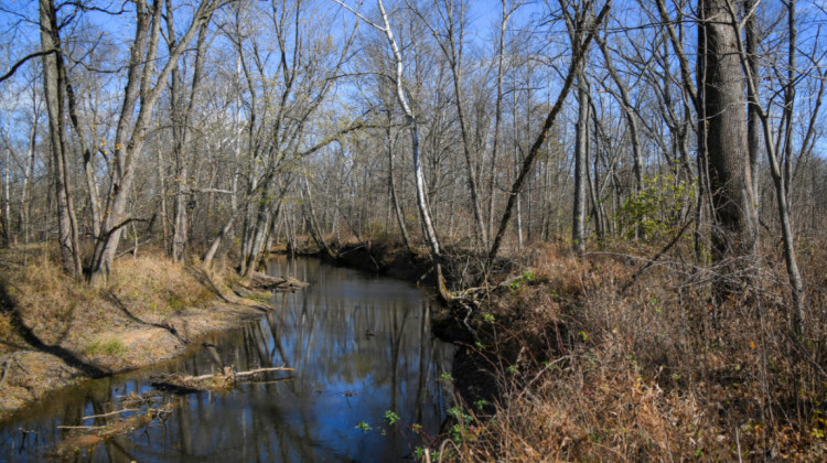 The Indiana Department of Natural Resources hopes to open the new Busseron Creek Fish and Wildlife Area to the public in April 2025. - Courtesy of the Indiana Department of Natural Resources