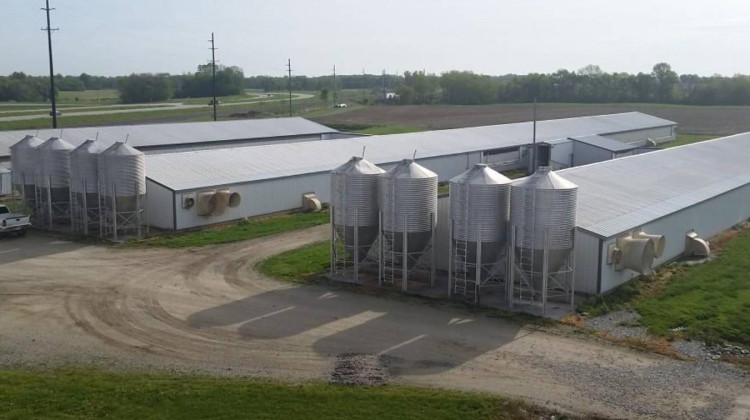 A concentrated animal feeding operation (CAFO) like this one in Tippecanoe County requires a permit, but not all large farms in the state do. - FILE PHOTO: Annie Ropeik/IPB News