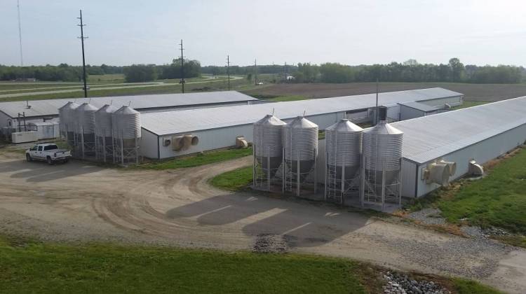 A CAFO off Route 25 in Tippecanoe County. - Annie Ropeik/IPB