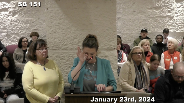 Carissa Siekman testified in front of the Senate Corrections and Criminal Law Committee about the need to eliminate the statute of limitations for sex crimes. - Screenshot of iga.in.gov