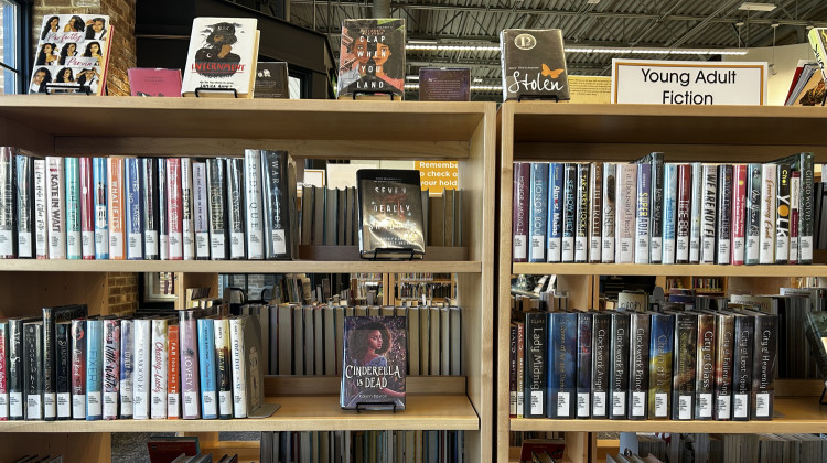 Books at the Joyce Winner West Branch of Carmel Clay Public Library in April 2023.  - Eric Weddle / WFYI