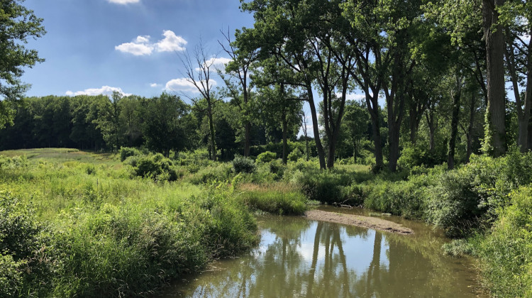 New nonprofit will conserve green space in Zionsville