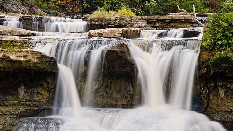 Author Speaking Out About 'Nature Deficit Disorder'