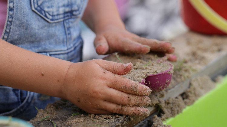 Indiana's Child Care Finder is free for anyone to use to find daycare or early education options.  - Marjon Besteman / Pixabay