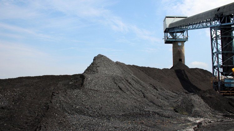 Illinois Basin coal piles up around Alliance Coal's conveyor belt at the Port of Mt. Vernon, waiting for transport on barges to regional power plants.  - File: Annie Ropeik/IPB News