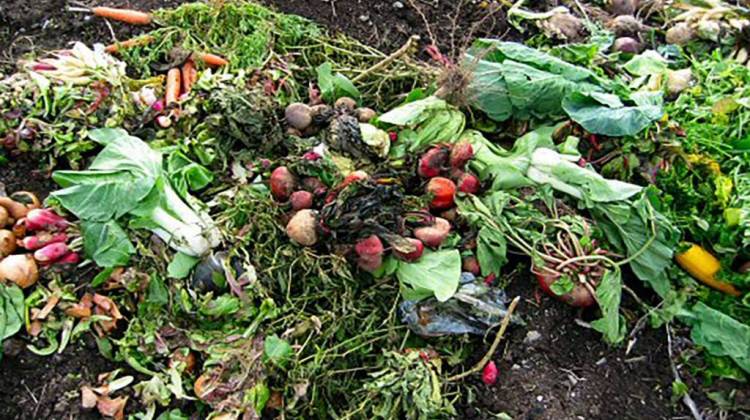 With New Grant, Composting Key To Reducing Food Waste