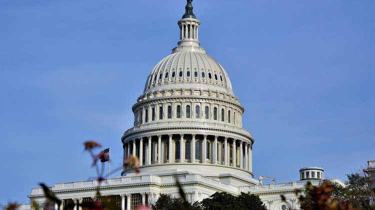 Congress passed a new round of direct relief – $600 per person – in December.  - Justin Hicks/IPB News