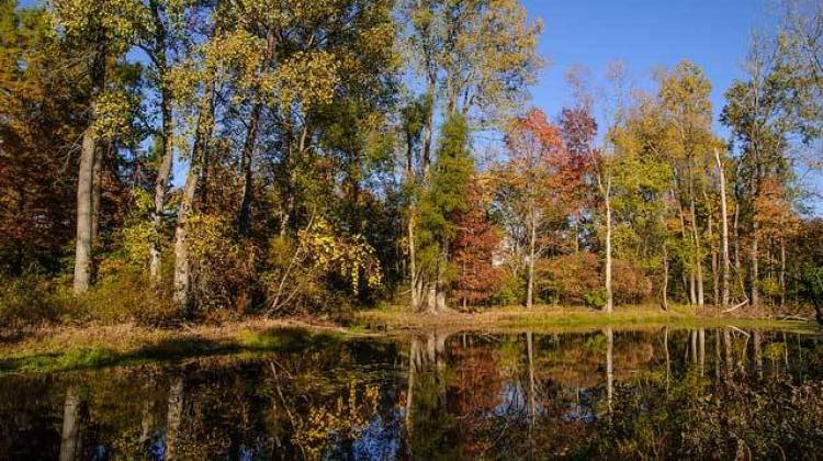 Pence Brings Together State, Public Lands For Bicentennial Conservation Project