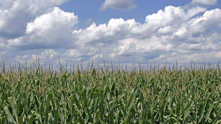 'Certain Amount of Nervousness' on Farm Bill