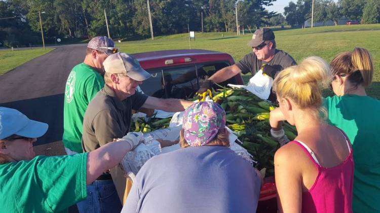 Ivy Tech's sweet corn crop gets counted in Terre Haute. - Marsha Lynn Jackson, Ivy Tech