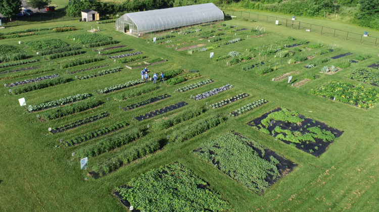 Corteva Hunger for Harvest Garden
