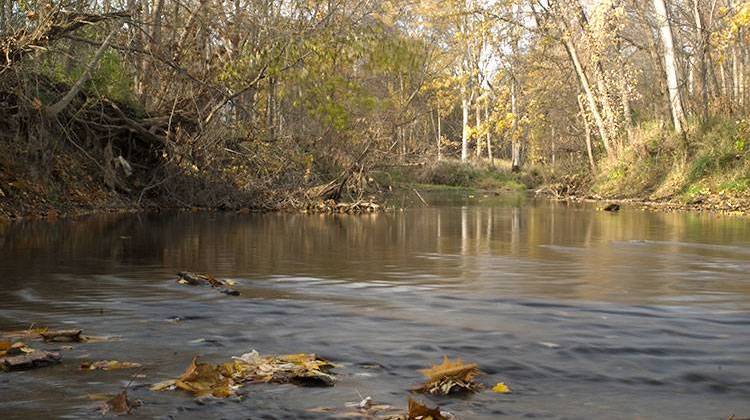 The grand opening for the James P. Covell Nature Preserve, along a portion of Cedar Creek in Dekalb County, was held Friday. - Courtesy ACRES Land Trust