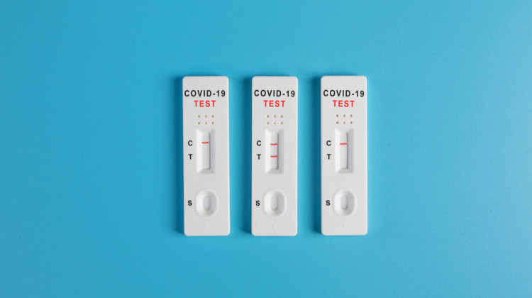 You asked: What are monoclonal antibodies, and how are they used to treat COVID-19?