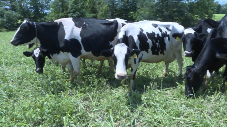 State Approves Controversial Newton County CAFO