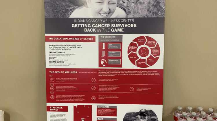 Cancer Wellness Project Launches In Indiana - Jill Sheridan