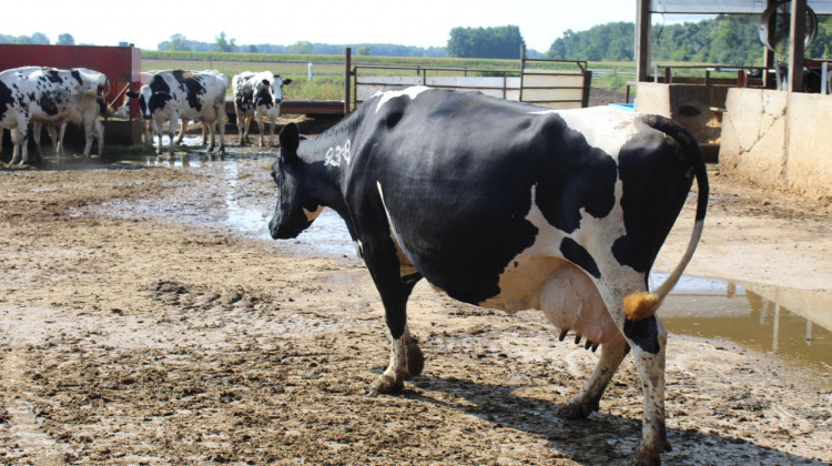 Retired Hydrologist Opposes Location Of Proposed CAFO In Newton County