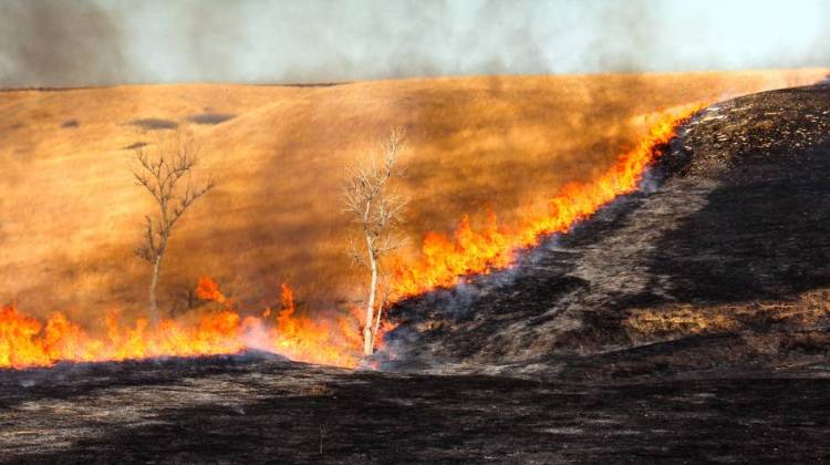 Fire-Setting Ranchers Have Burning Desire To Save Tallgrass Prairie