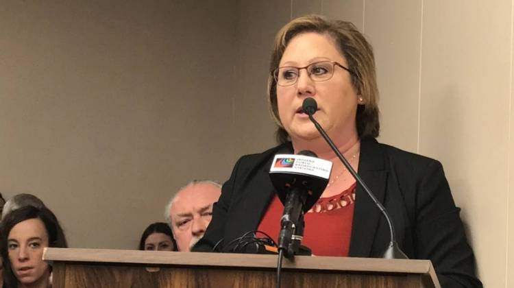 Indiana Township Association President Debbie Driscoll tells a House committee her organization supports this session's township reform bill.  - Brandon Smith/IPB News