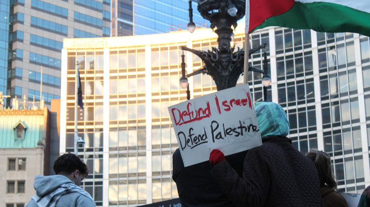 Protesters gathered at Monument Circle in Indianapolis on Nov. 1, 2023, to show support for Palestinians and call on the U.S. to end its support of Israel. Nearly 9,000 people – including 3,600 children – have been killed in Palestine by Israel, according to the Gaza Ministry of Health.  - Lauren Chapman/IPB News