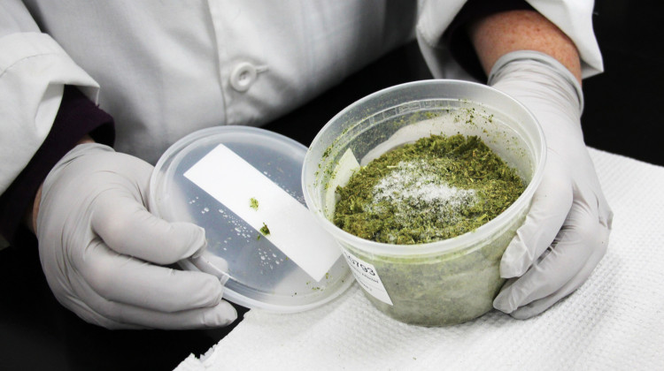 Chopped and frozen samples of damaged soybean plants are kept in storage at the Office of the Indiana State Chemist. Many contain residues of the herbicide dicamba. - Dan Charles/NPR