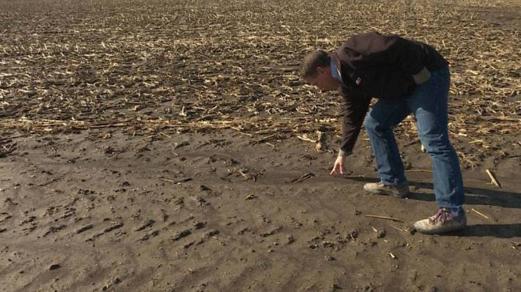 Don Lamb points to moisture in the soil. He says farmers have the most incentive to keep water quality high because it impacts their livelihoods. - Barbara Brosher/Indiana Public Broadcasting