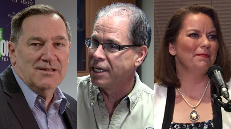 Monday's debate will be the first between incumbent Democrat U.S. Sen. Joe Donnelly (D-D-Ind.), Republican Mike Braun, and Libertarian Lucy Brenton. - (Photos courtesy of Lauren Chapman/IPB News, WFIU/WTIU, and Brandon Smith/IPB News)