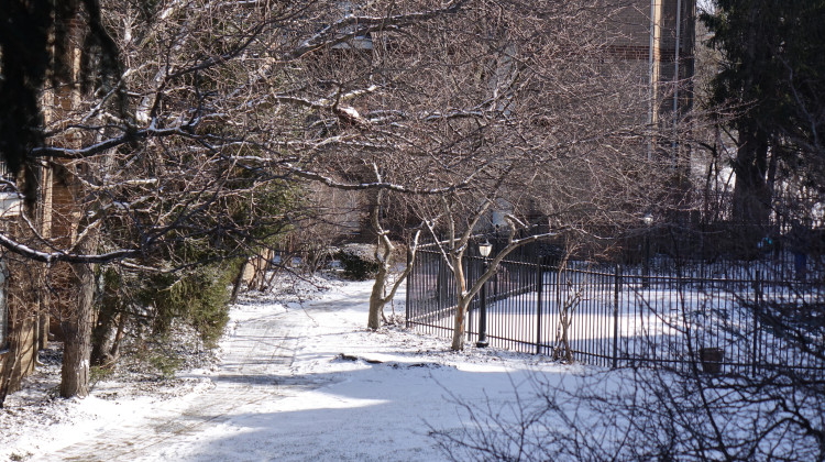 Some snow is expected in Indiana, but wind gusts and frigid temperatures are the most concerning. - Farah Yousry/WFYI