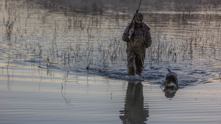 The Indiana DNR is asking hunters to report signs of avian influenza  such as "mortality events" where a large number of birds are found deceased at once. - Guy Huntley / Flickr