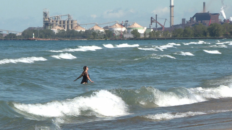 The view from Indiana Dunes National Park's West Beach. - Tyler Lake/WTIU